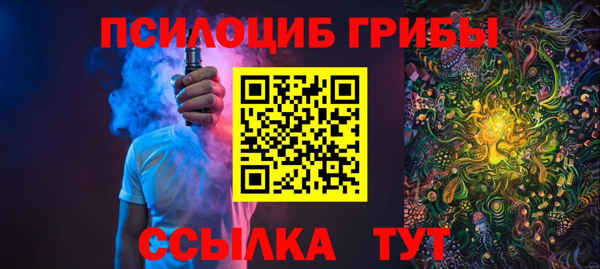 Псилоцибиновые грибы GOLDEN TEACHER Торжок