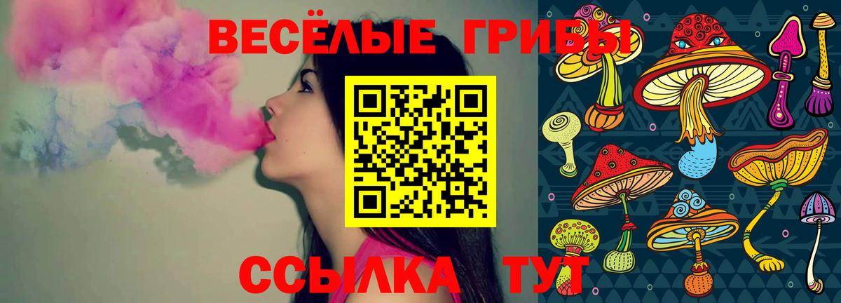 Торжок  Псилоцибиновые грибы Psilocybine cubensis  Вход с VPN 